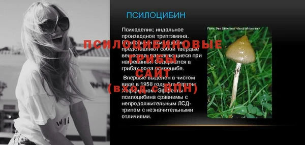 мяу мяу мука Абдулино