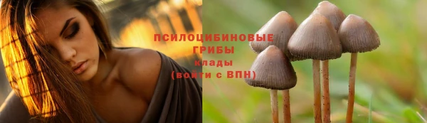 амф Абинск