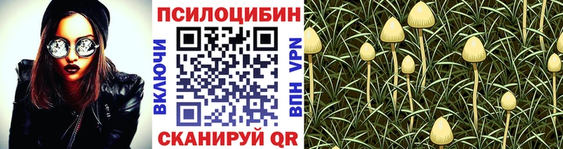 hydra зеркало  наркотики  Бирюсинск  Галлюциногенные грибы мицелий 